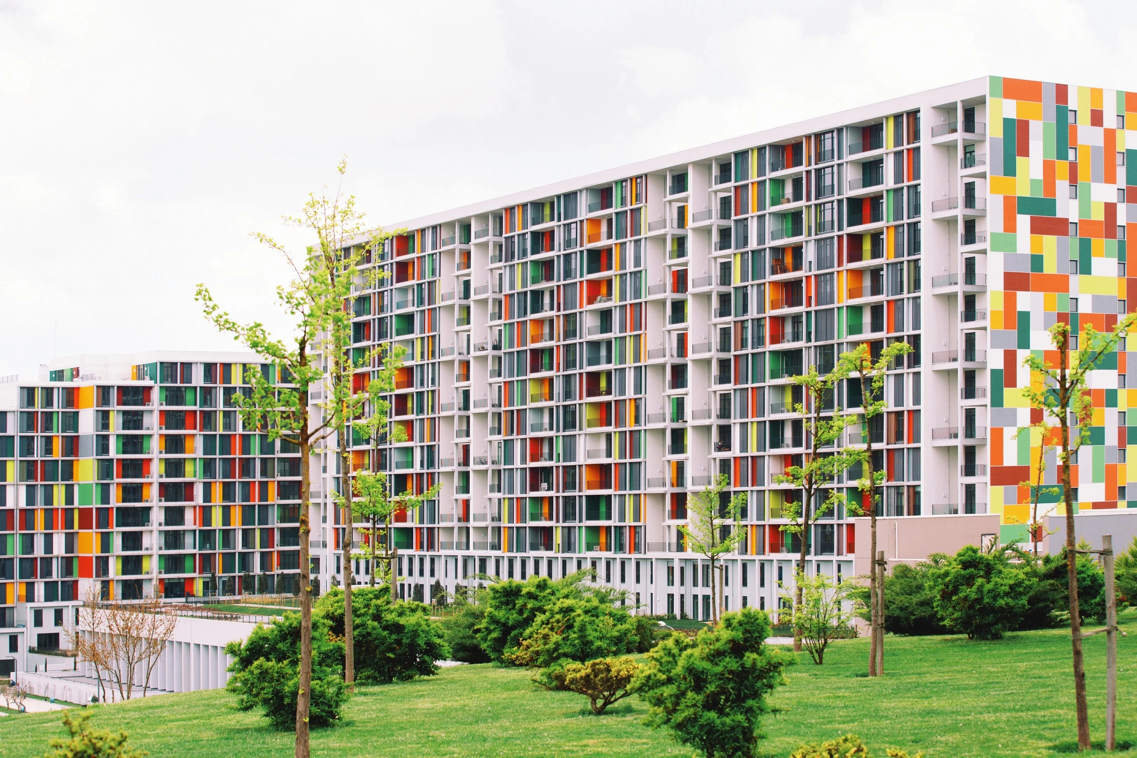 Project Gallery Image