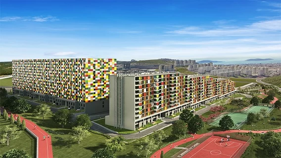 Project Gallery Image