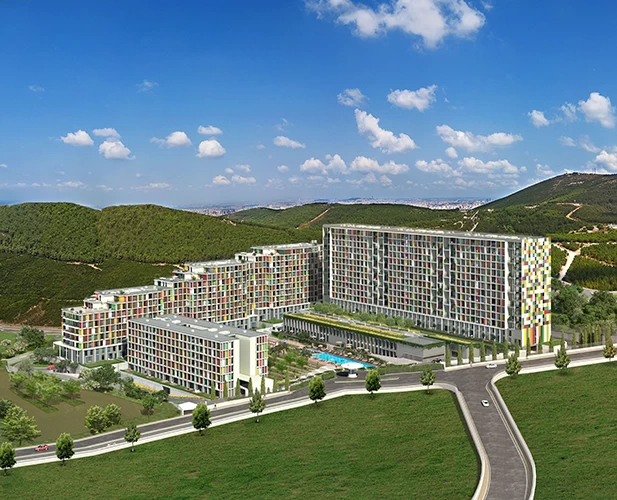 Project Gallery Image